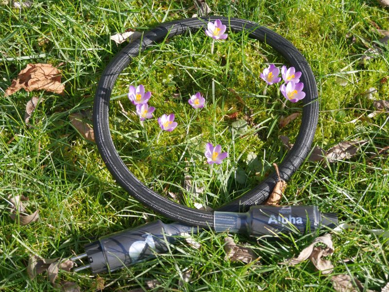 Signal Projects Alpha Power 1 m