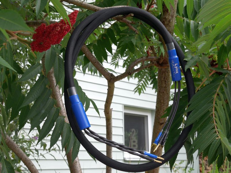 Signal Projects Lynx Lautsprecherkabel bi-wire