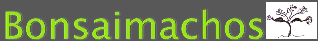 Signalprojects by Bonsaimachos.de